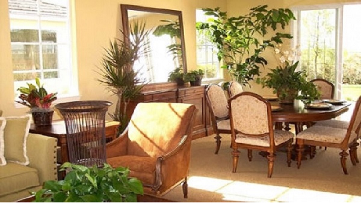 এসি ছাড়া প্রাকৃতিক উপায়ে ঘর ঠান্ডা রাখবেন যেভাবে