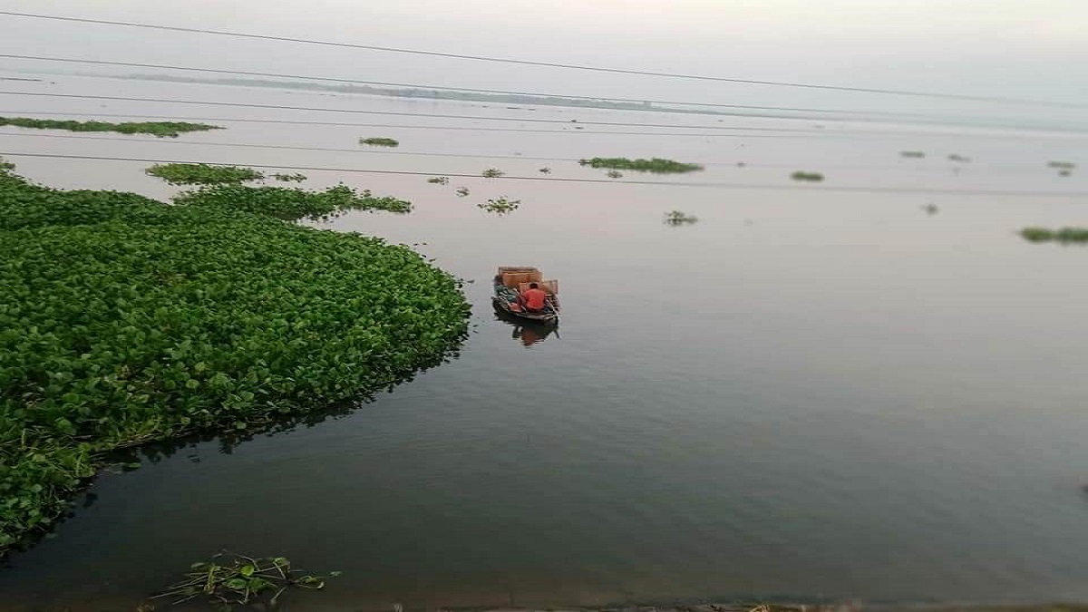 নওগাঁর জবই বিলের ৪ স্থানকে অভয়াশ্রম ঘোষণা করে গণবিজ্ঞাপ্তি জারি
