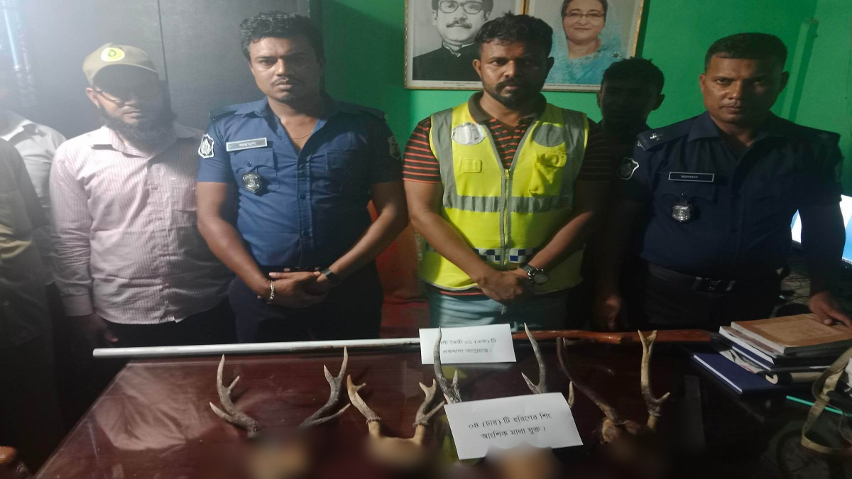 সাতক্ষীরায় পরিত্যক্ত অবস্থায় চারটি হরিণের কাটা মাথা ও বন্দুক উদ্ধার