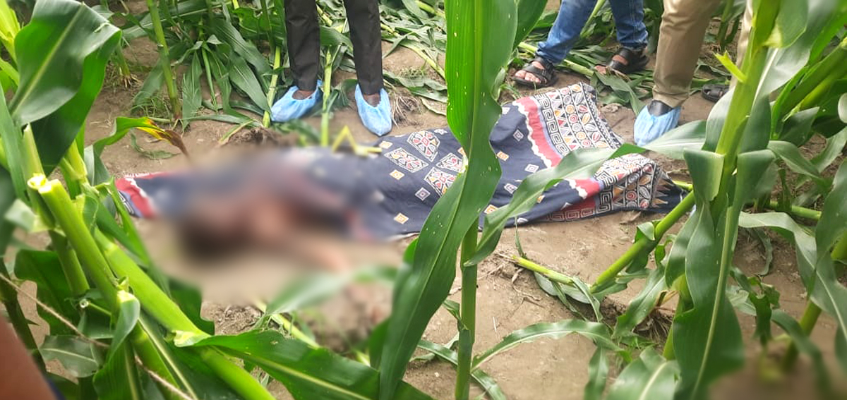 ঠাকুরগাঁওয়ে ভুট্টাক্ষেত থেকে মাদরাসা শিক্ষার্থীর মরদেহ উদ্ধার, পরিবারের দাবি হত্যা