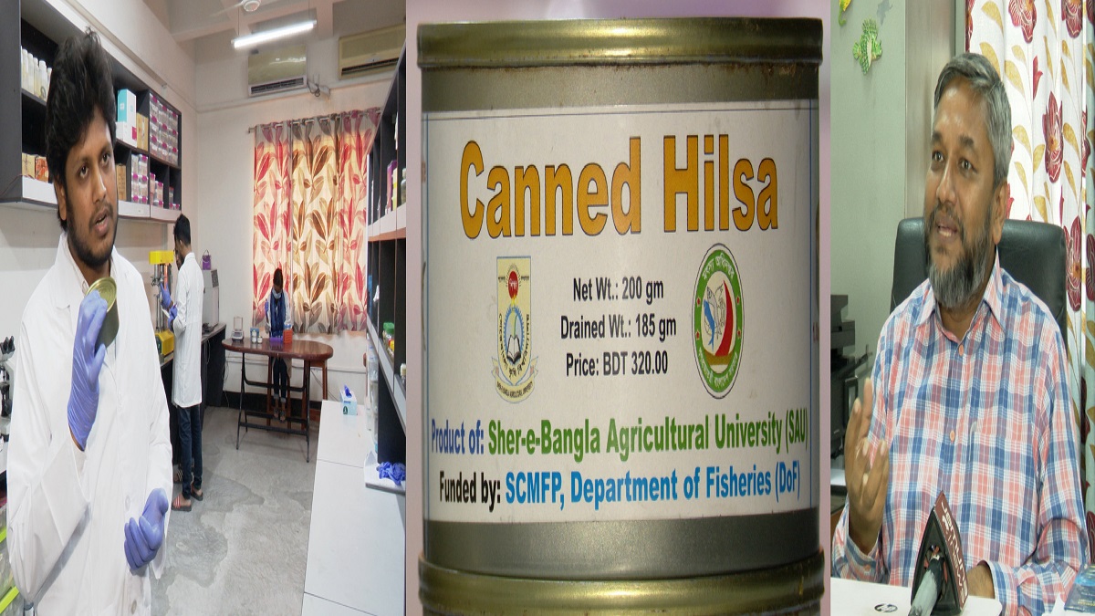 টিনের কৌটায় মিলবে ইলিশ, দাম থাকবে সাধ্যের মধ্যেই