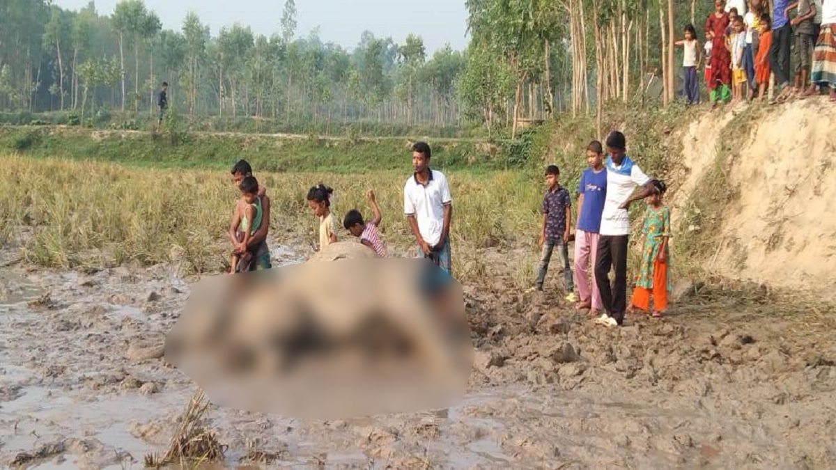 শেরপুরে ধানক্ষেত থেকে মৃত বন্যহাতি উদ্ধার