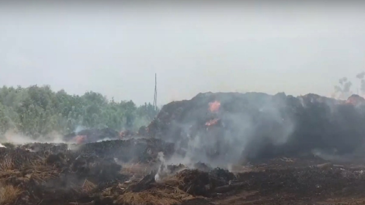 খাগড়াছড়ির দীঘিনালায় আগুনে পুড়ে ছাই সোয়া কোটি টাকার ঝাড়ুফুল