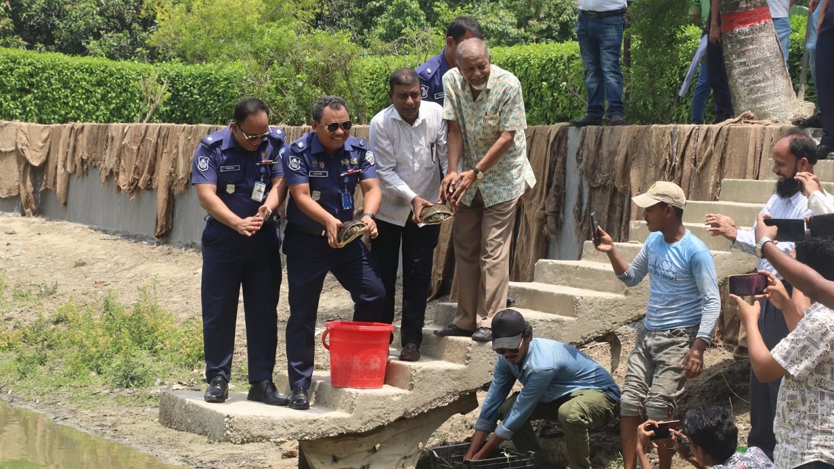 ফেনীতে বিলুপ্ত প্রজাতির ১০৮টি সুন্দি কাছিম উদ্ধার