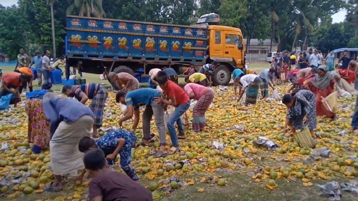 রাজধানীতে যাচ্ছিল রাসায়নিক মিশ্রিত সাতক্ষীরার আম, ধ্বংস করল প্রশাসন