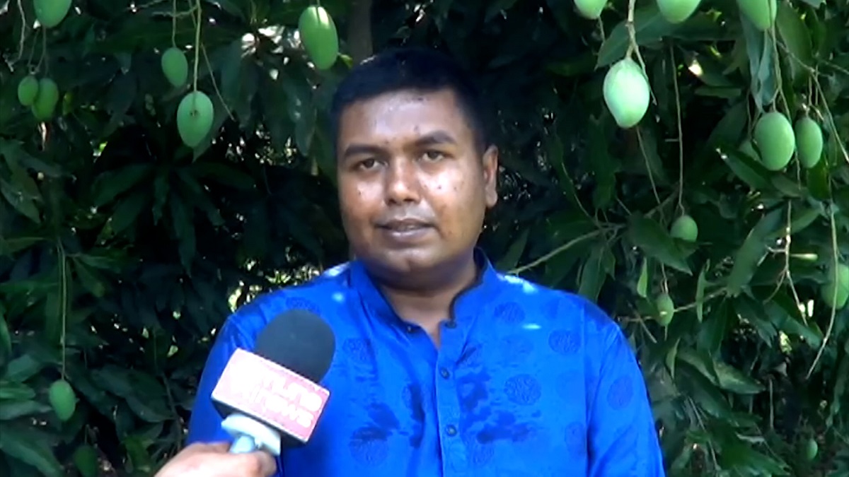 কম্পিউটার সায়েন্সে পড়ে কৃষি উদ্যোক্তা, আম চাষে সাফল্য পেয়েছেন ফরিদপুরের মান্নান