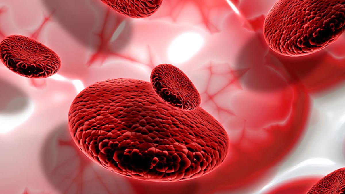 দেশে জনসংখ্যার ৭ শতাংশ থ্যালাসেমিয়া বাহক