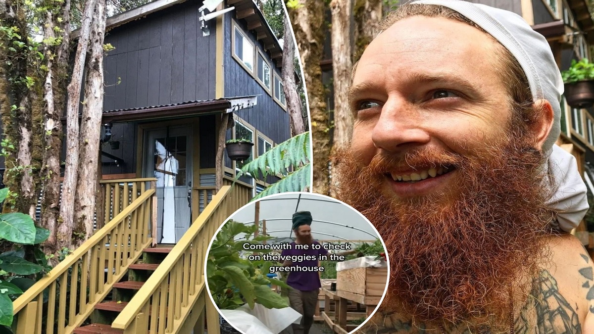 ৯টা- ৫টা ডিউটি করে বিরক্ত, সব ছেড়ে জঙ্গলে চলে গেলেন যুবক