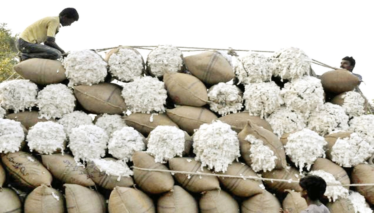 তুলা আমদানিতে বাধ্যবাধকতা তুলে নেয়ায় বাংলাদেশকে যুক্তরাষ্ট্রের ধন্যবাদ