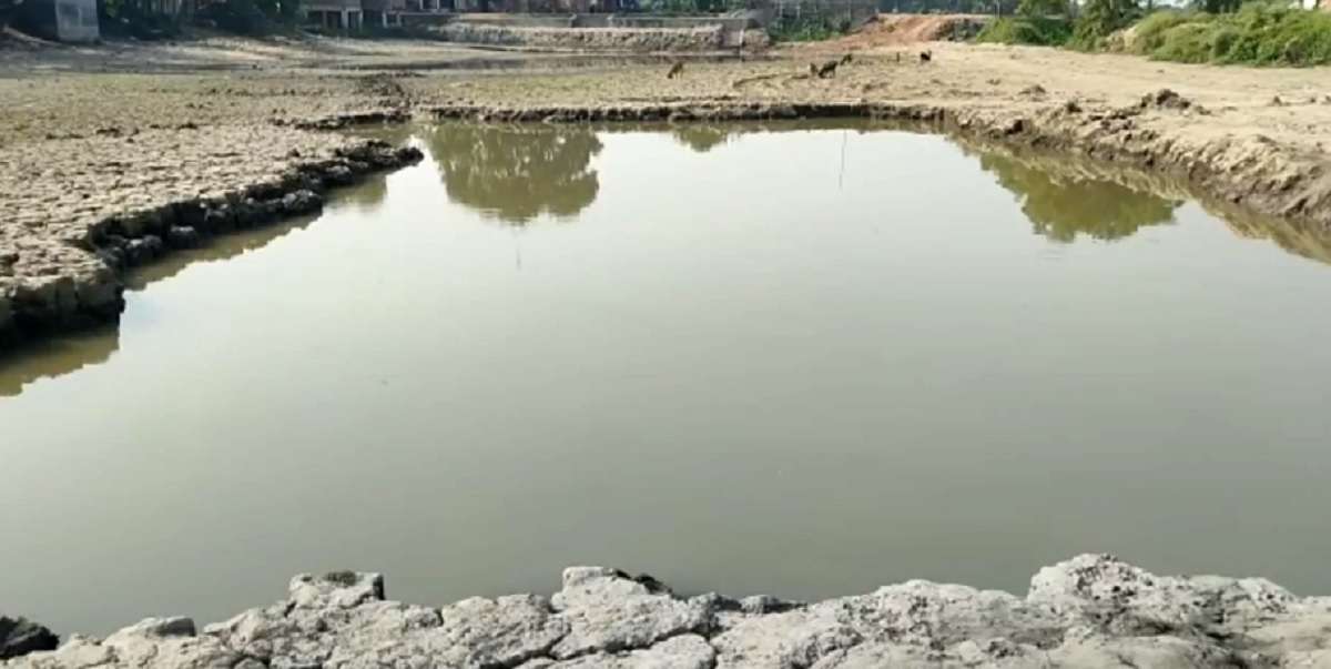 দর্শনায় পানিতে ডুবে ২ শিশুর মৃত্যু