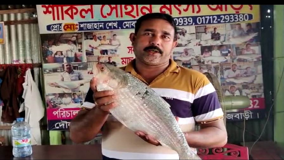 পদ্মার এক ইলিশ বিক্রি হলো ৯ হাজার ৮শ টাকায়