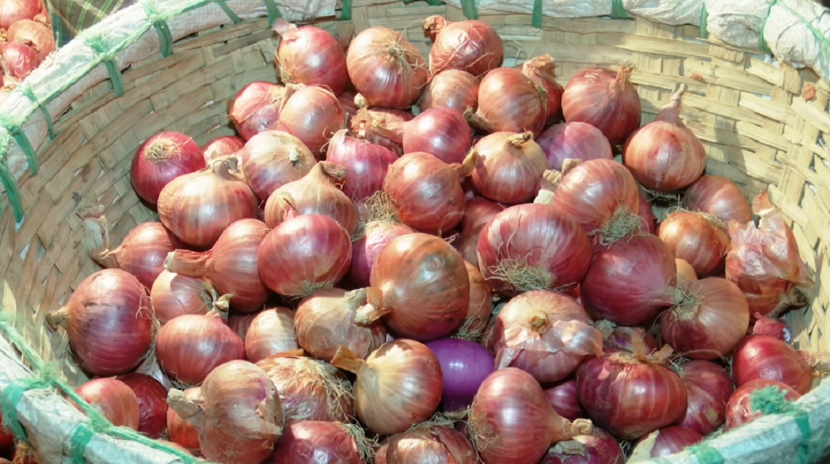 পেঁয়াজের বাজারে নেই স্বস্তির আভাস