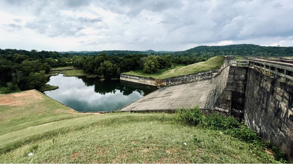 সেলফি তুলতে গিয়ে জলাধারে পড়ে গেল মোবাইল, উদ্ধারে ২০ লাখ লিটার পানি সেচ