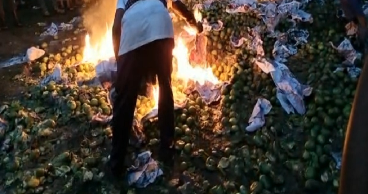 সাতক্ষীরায় রাসায়নিক দিয়ে পাকানো ১৫০০ কেজি ল্যাংড়া আম ধ্বংস