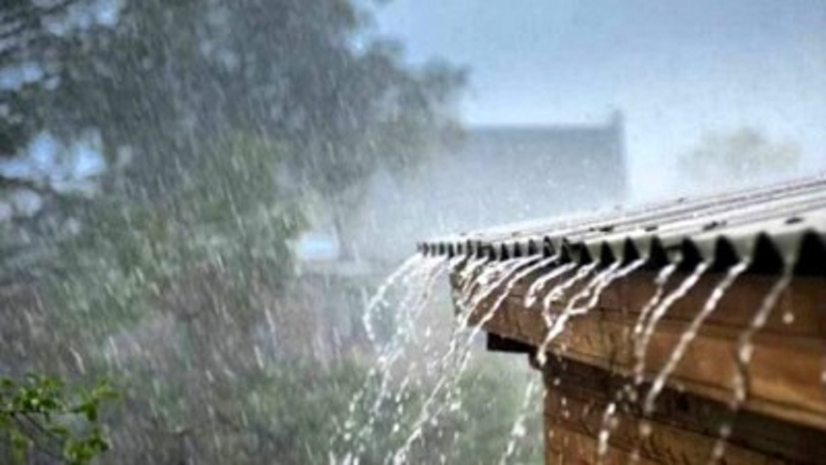 নাটোরের নলডাঙ্গায় স্বস্তির বৃষ্টি