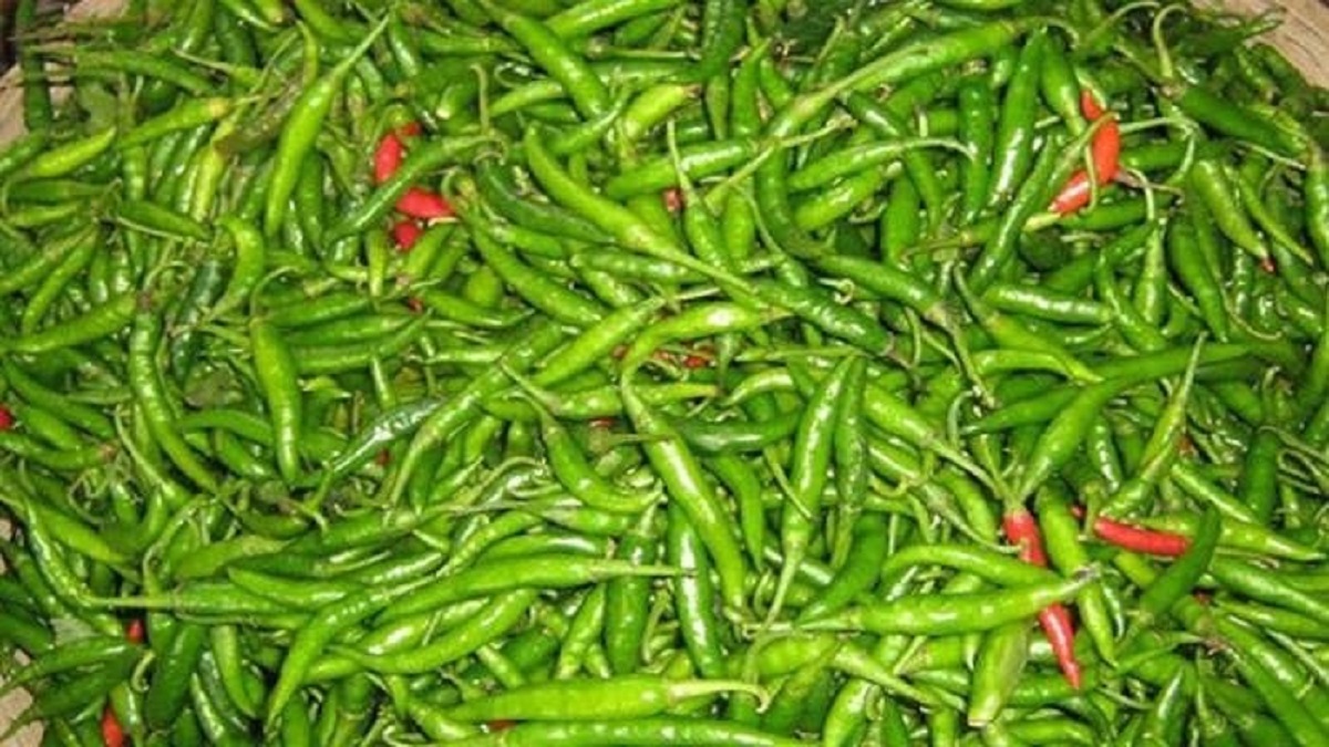 কাঁচা মরিচের বাজারে চলছে নৈরাজ্য, কেজি ৪০০ টাকা