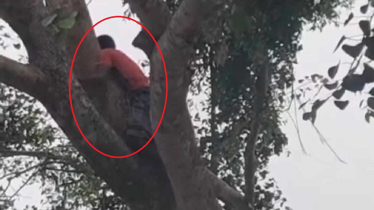 জয়পুরহাটে আইফোনের দাবিতে নিমগাছে উঠে যুবকের অনশন