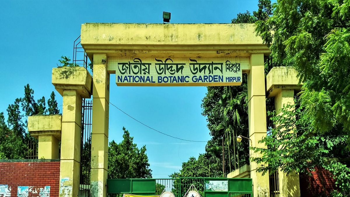 মিরপুর বোটানিক্যাল গার্ডেনের লেকে সাঁতার কাটতে গিয়ে যুবকের মৃত্যু
