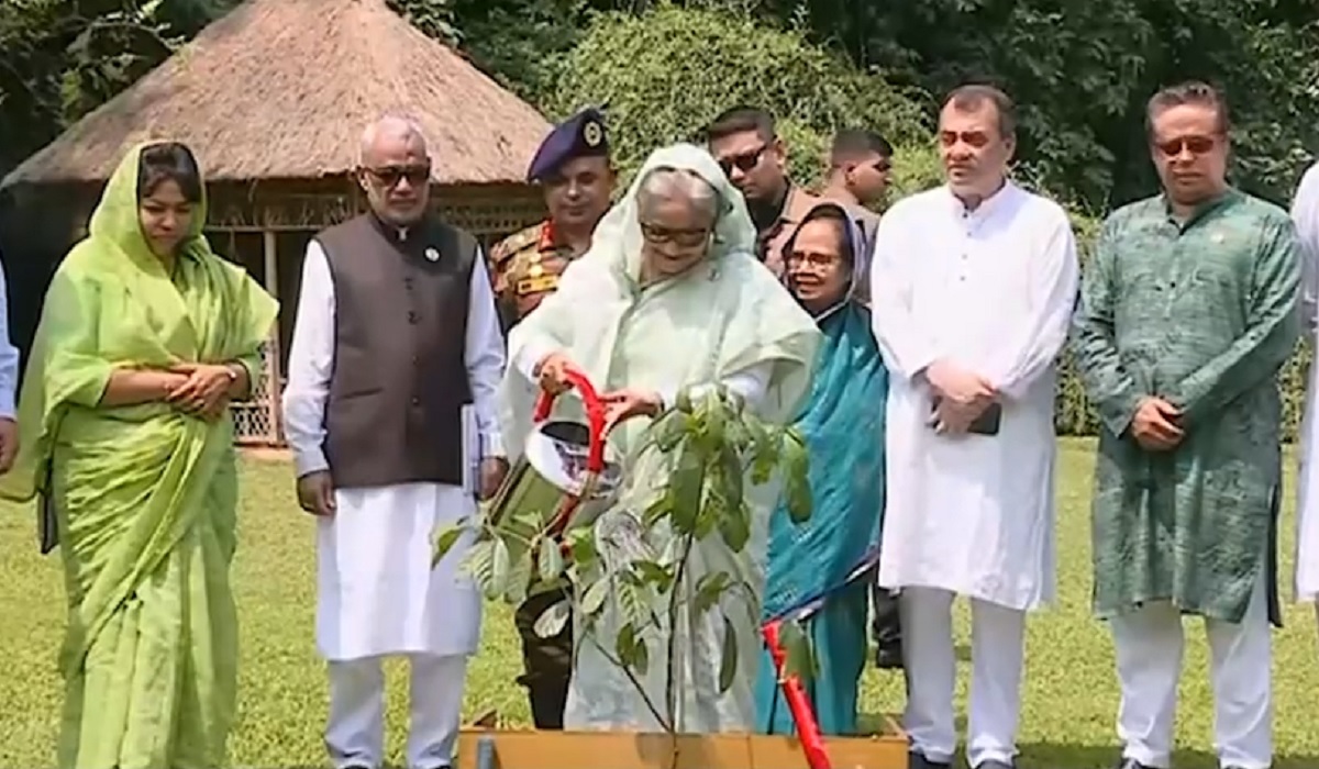 বিশ্ব পরিবেশ দিবস: অন্তত একটি করে গাছ লাগানোর আহ্বান প্রধানমন্ত্রীর