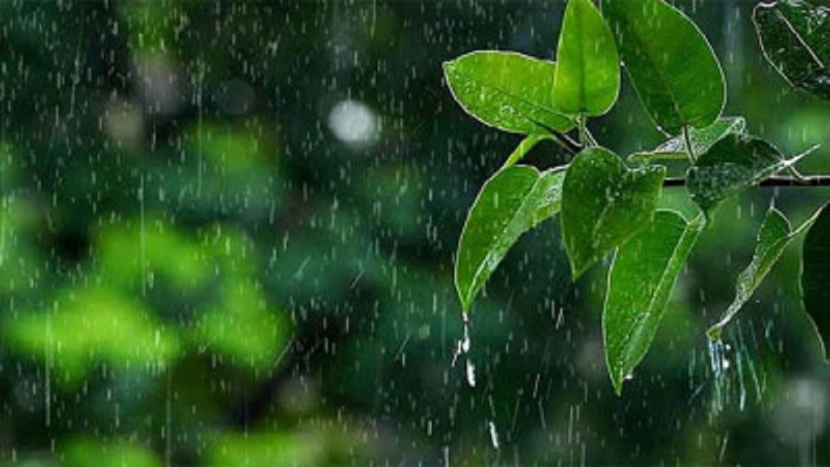 অবশেষে স্বস্তির বৃষ্টি নামলো সাতক্ষীরায়