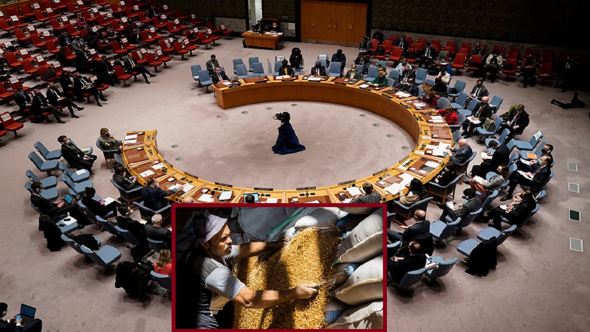 শস্য চুক্তি বাতিল করে ‘হাঙ্গার গেইম’ খেলবেন না: রাশিয়ার প্রতি আহ্বান জাতিসংঘের