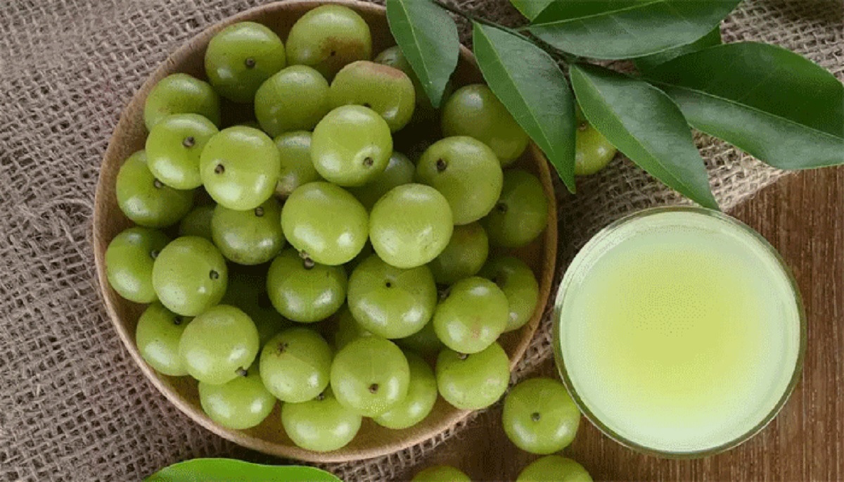 চুলের যত্নে আমলকির উপকারিতা