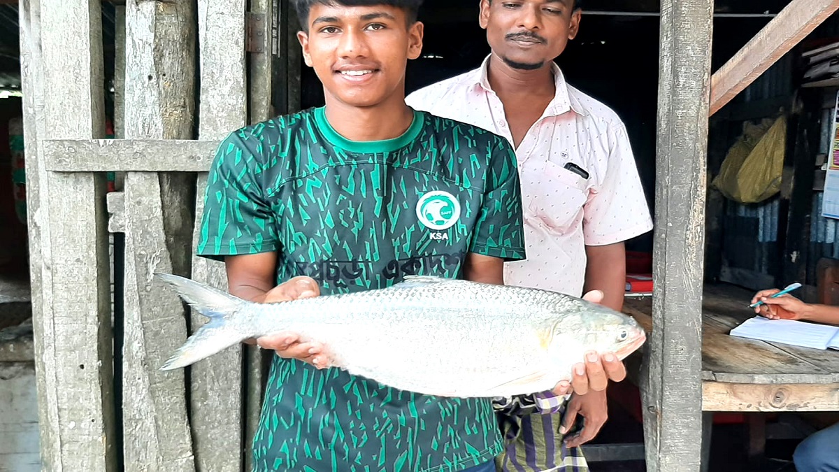 ভোলায় এক ইলিশ বিক্রি হলো ৭ হাজার টাকায়