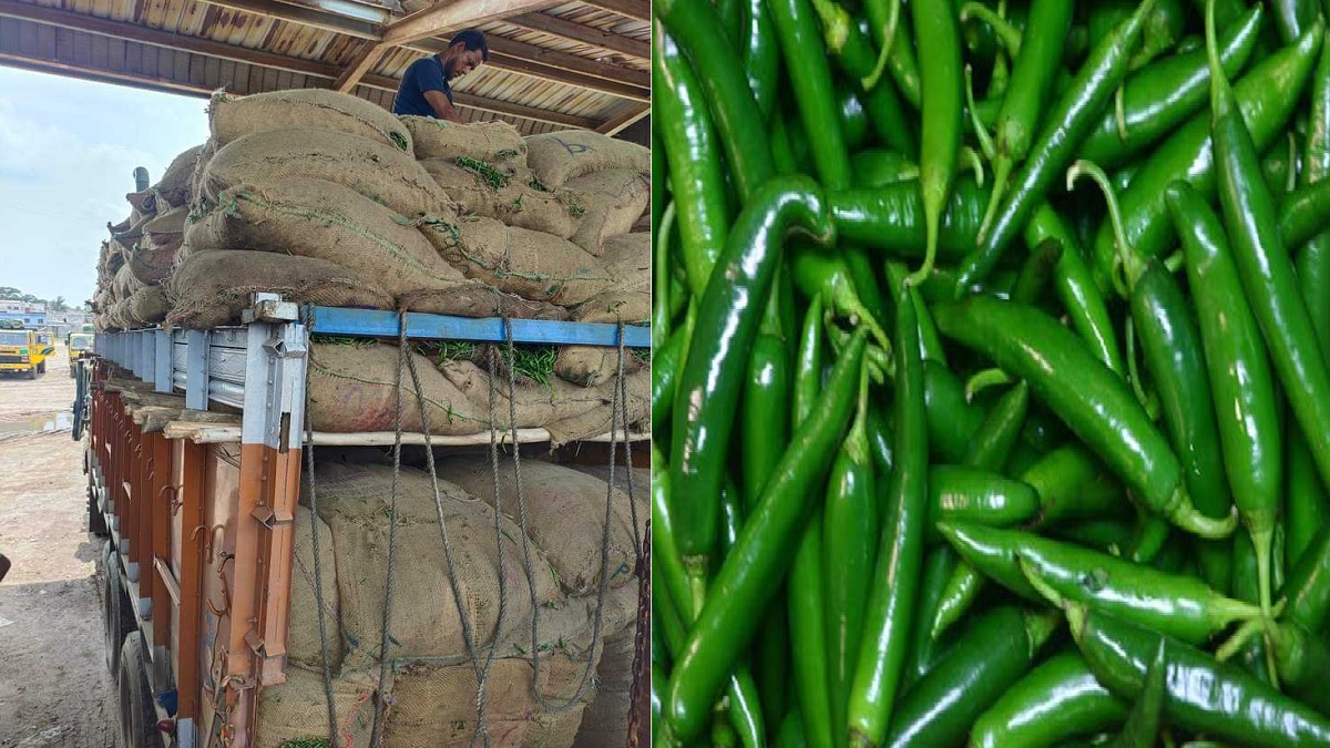 ভোমরা বন্দরে ভারত থেকে এলো ছয় ট্রাক কাঁচা মরিচ