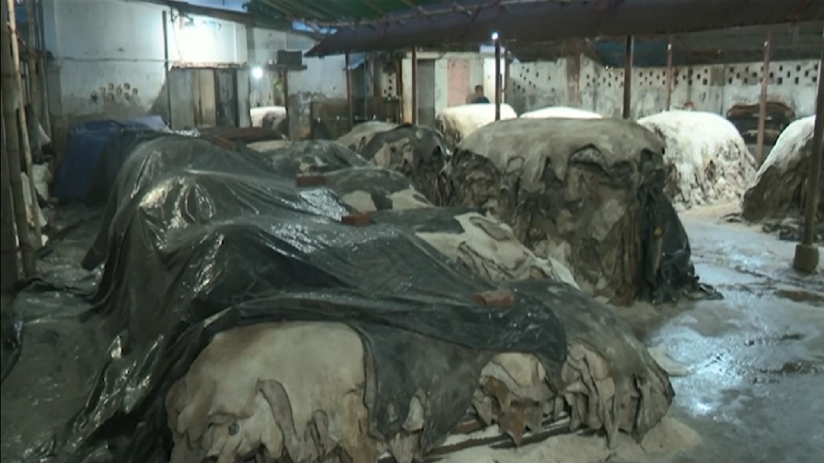 চট্টগ্রামে ১৫ দিন ধরে আড়তে পড়ে আছে চামড়া, পুঁজি হারানোর শঙ্কায় ব্যবসায়ীরা