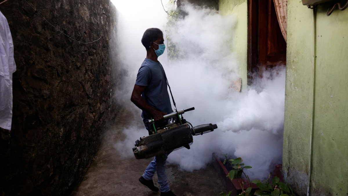 বিশ্বের অর্ধেক মানুষই ডেঙ্গু ঝুঁকিতে আছে, জাতিসংঘের সতর্কতা
