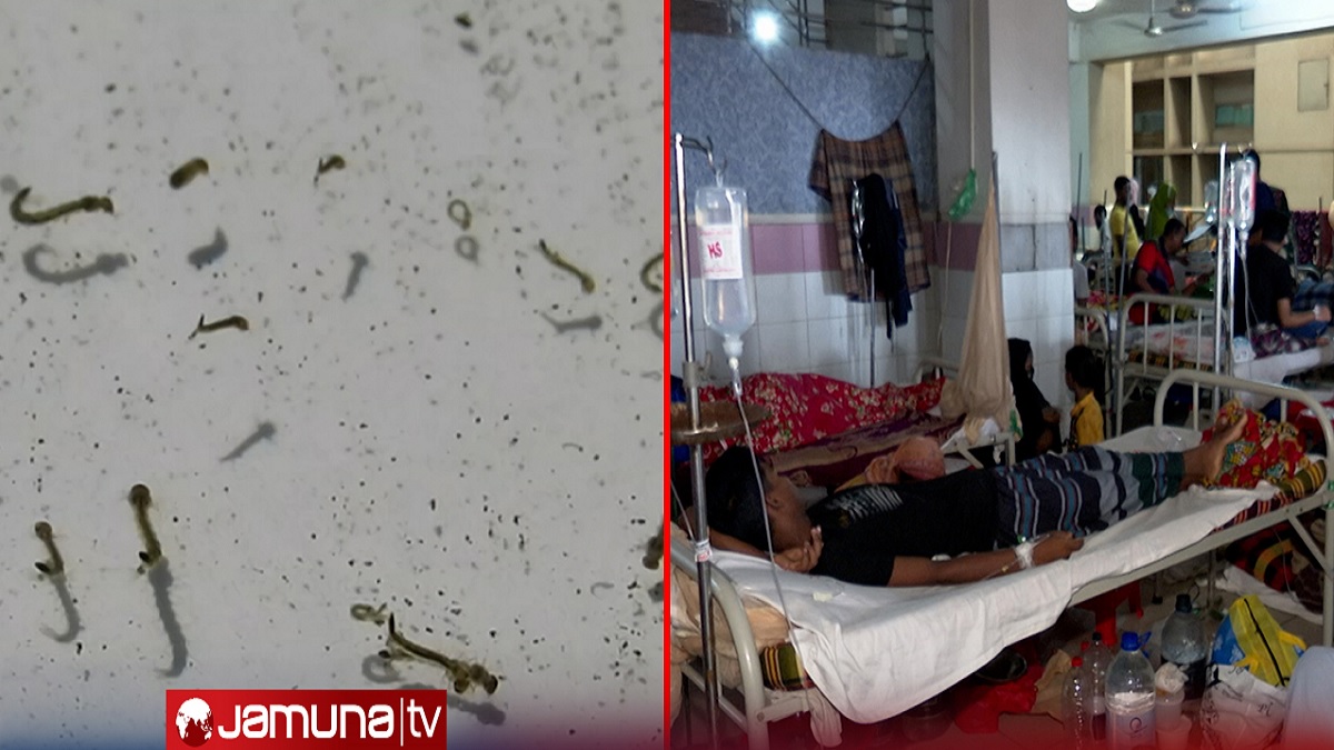 এডিস মশার চরিত্র বদল; কামড়াচ্ছে রাতে, জন্মাচ্ছে ময়লা পানিতে