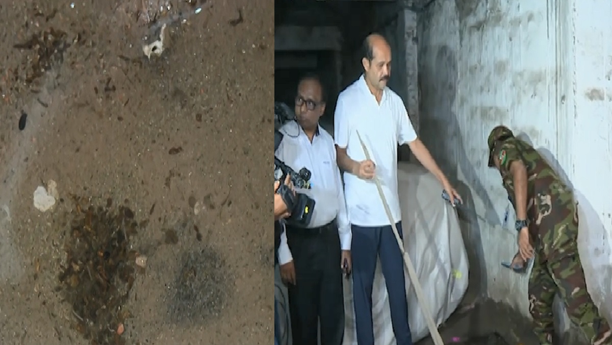 জাপান গার্ডেন সিটিতে ‘মশার চাষ’, ৫ লাখ টাকা জরিমানা