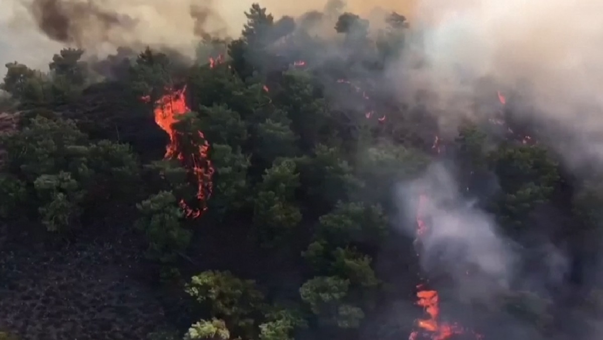 ইউরোপে দাবানলের রুদ্রমূর্তি: পুড়ছে দক্ষিণ ও দক্ষিণ-পূর্বাঞ্চল