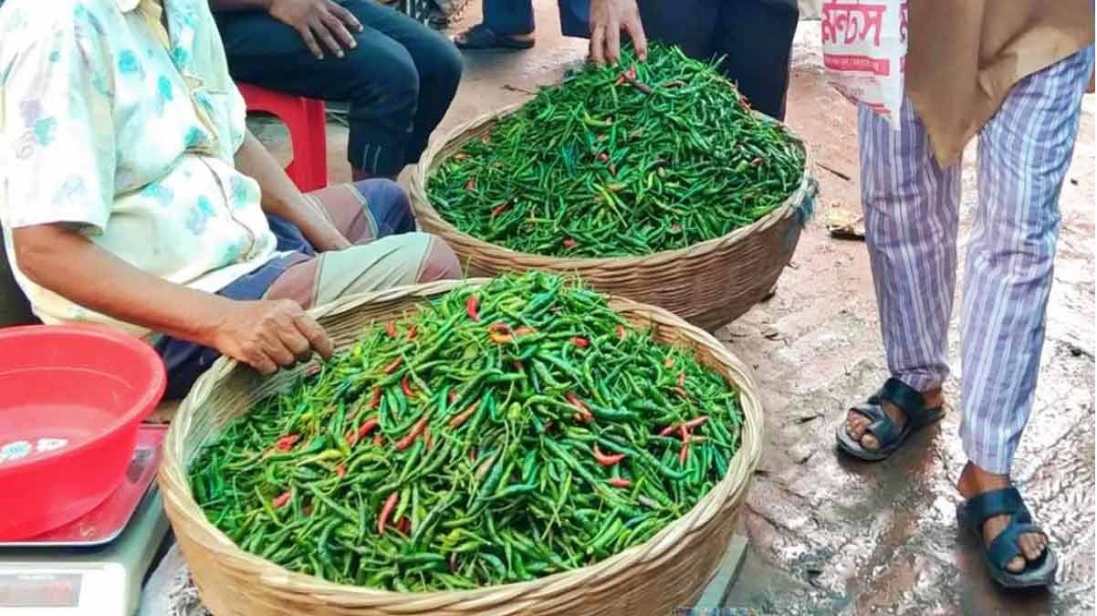 কাঁচা মরিচের ঝাঁঝে নাকাল ক্রেতা, প্রতি কেজি ৬০০ টাকা