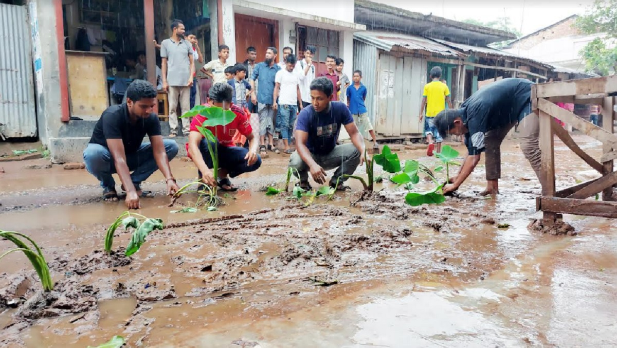 সড়কে কচু গাছ লাগিয়ে অভিনব প্রতিবাদ