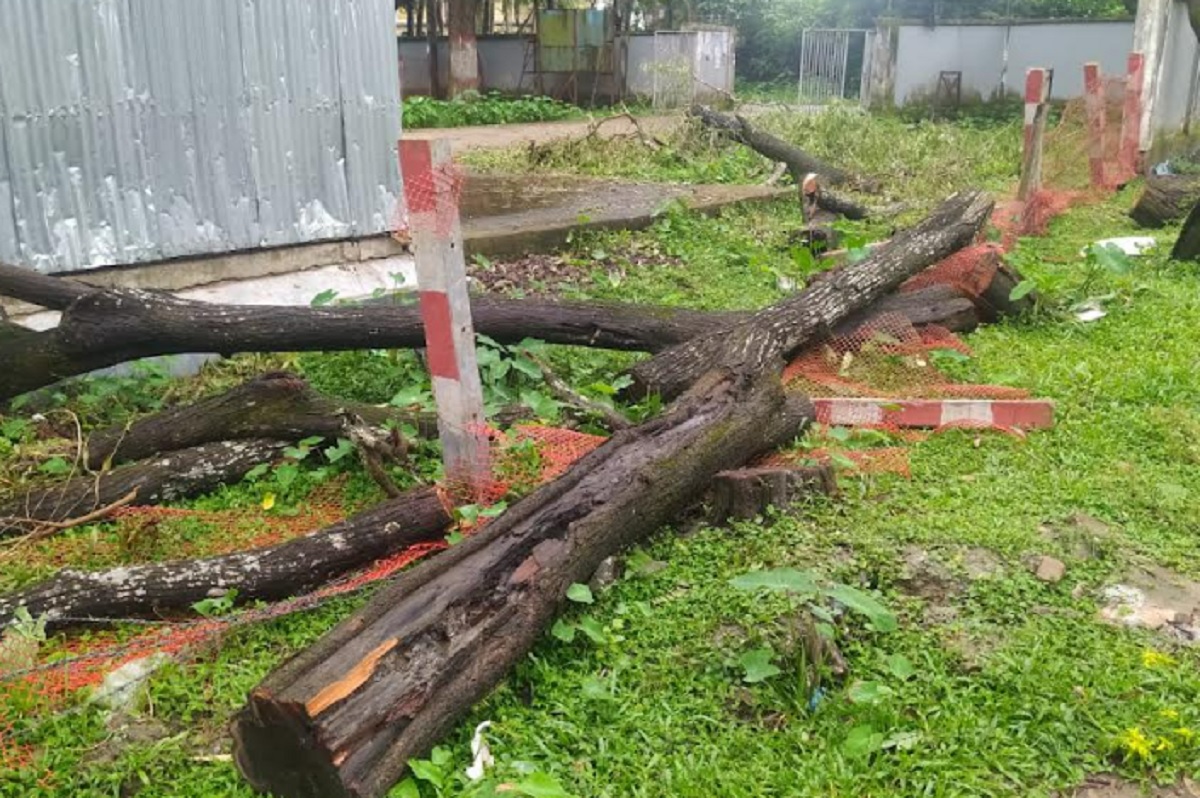 আদালত চত্বরের গাছ কাটার অভিযোগে এসিল্যান্ডসহ ৫ জনের বিরুদ্ধে মামলা