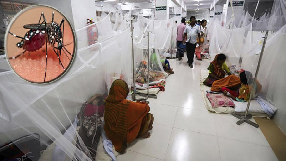 ২৪ ঘণ্টায় ডেঙ্গুতে ১০ জনের মৃত্যু, আক্রান্ত আড়াই হাজারের বেশি