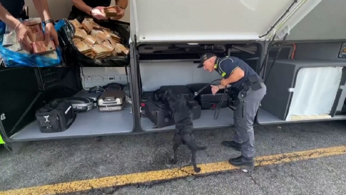 ‘গন্ধ শুঁকে’ বিপুল নগদ অর্থের সন্ধান দিলো কুকুর!