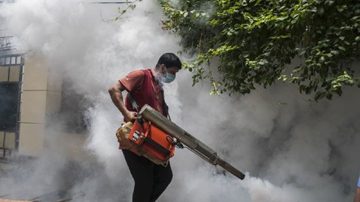 ১১ বছরে দুই সিটিতে মশার পেছনে খরচ এক হাজার ৮০ কোটি টাকা, তবুও কমেনি উপদ্রব