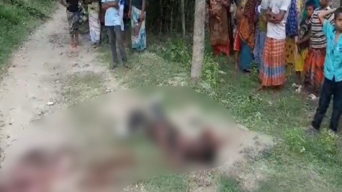 উল্লাপাড়ায় চলন্ত ট্রেন থেকে নামতে গিয়ে প্রাণ গেল কিশোরের