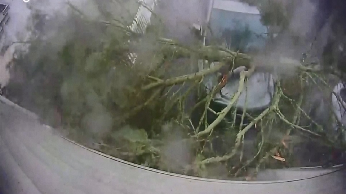 যুক্তরাষ্ট্রে টর্নেডোর আঘাত, গাছ উপড়ে গাড়িতে