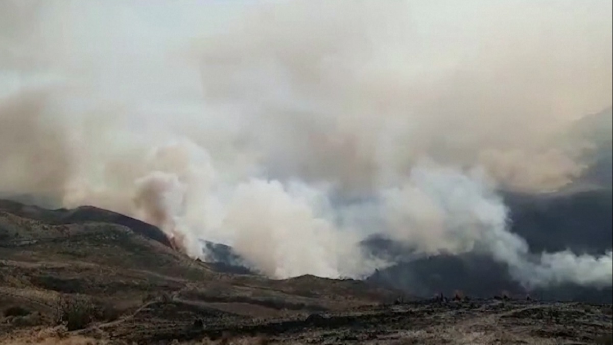 দাবানলে পুড়ছে পেরু ও বলিভিয়া, নিহত ২