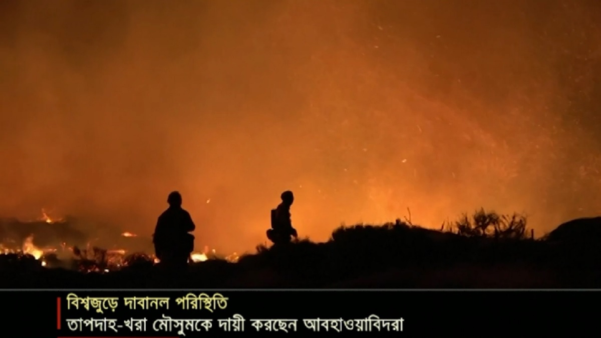 দাবানলে পুড়ছে ইউরোপ-আমেরিকা; দাবদাহ ও শুষ্ক বাতাসকেই দায়ী করছেন আবহাওয়াবিদরা