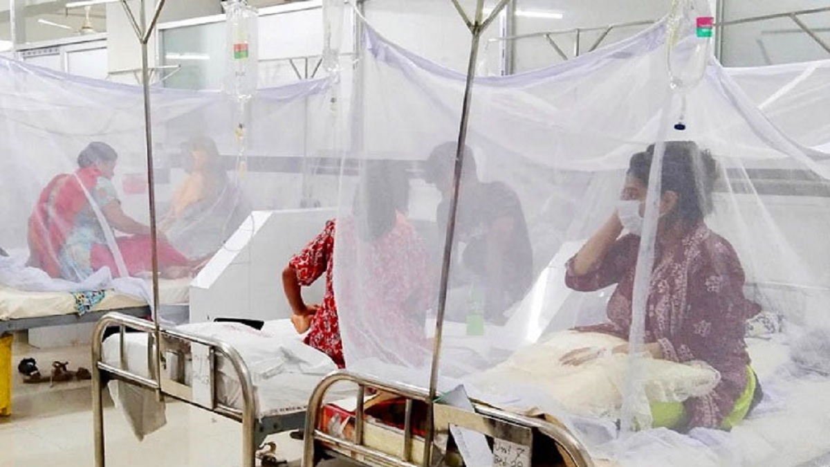 ডেঙ্গুতে আরও ১১ জনের মৃত্যু, হাসপাতালে ভর্তি ২৭৮২
