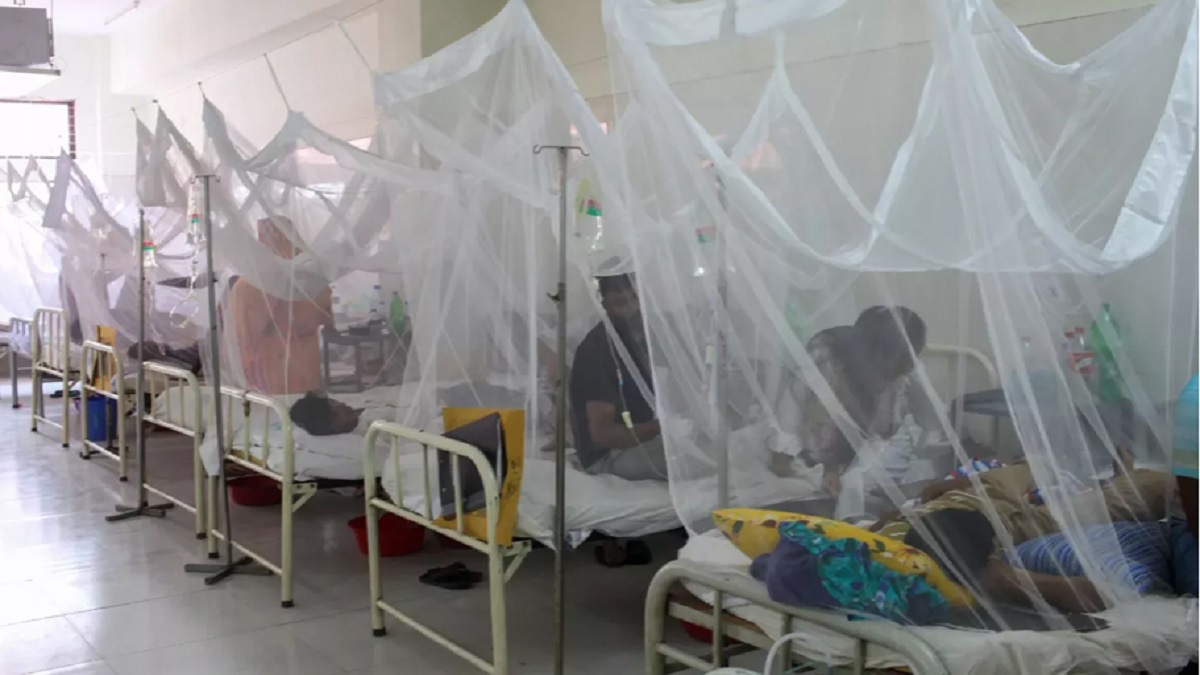 ডেঙ্গু কেড়ে নিল ১ দিনে ২১ জনের প্রাণ