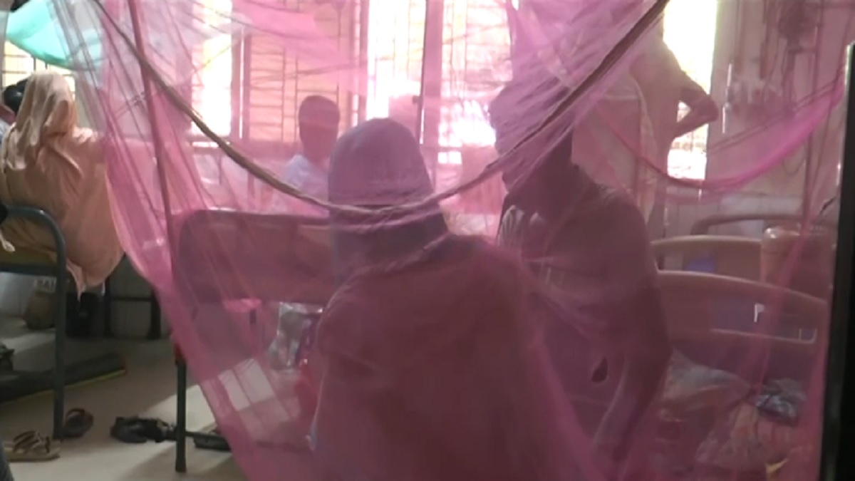 কুষ্টিয়ায় ডেঙ্গুর প্রকোপ, ২১টি ওয়ার্ডে নেই কোনো প্রতিরোধ ব্যবস্থা