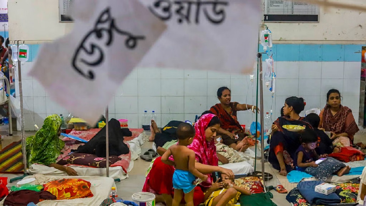 ডেঙ্গু: এক সপ্তাহে ৮৩ শতাংশেরই মৃত্যু হয়েছে হাসপাতালে ভর্তির ৩ দিনের মধ্যে