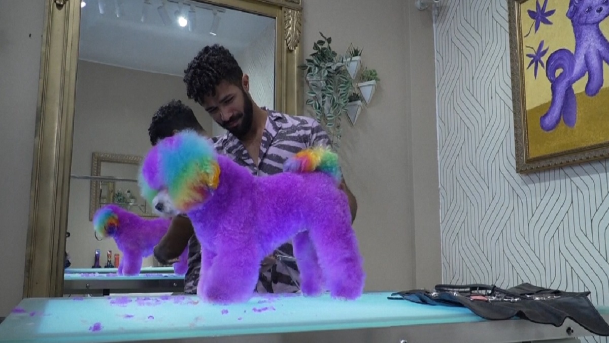 শিল্পীর ছোঁয়ায় কুকুরের নানা রূপ!