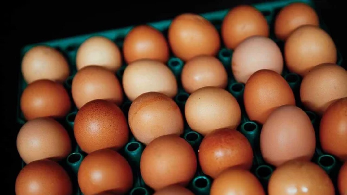 ঢাকা ও চট্টগ্রামে বন্ধ ডিমের আড়ত