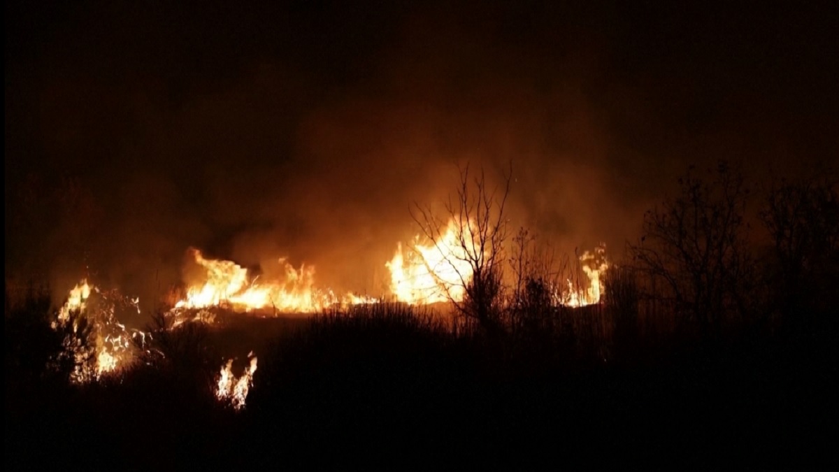 দাবানলে পুড়ছে গ্রিস